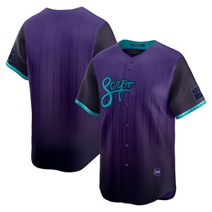 2025 City Connect Heren/Dames Arizona Jersey Custom Baseball Shirts Gestikte Geborduurde Jeugd Uniformen Sportkleding met Logo's - Product Image 2