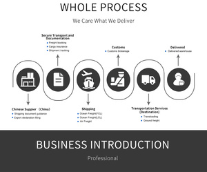 Top 10 Spedizionieri Internazionali Marittimi, Spedizione FCL Cina-Germania-Francia-Europa, 20-38 Giorni di Transito, Assicurazione, Supporto 24/7 - Product Image 3