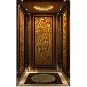 Residential Commercial Passenger Elevator Lift With High Speed Home Elevator Price