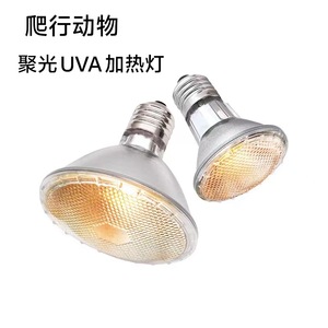 Lampe chauffante UVA pour reptiles, ampoule P20, verre rond, halogène dimmable, lampe de supplément de calcium pour reptiles et lézards - Product Image 3