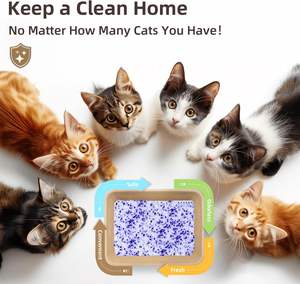 공장 스팟 대형 입자 크리스탈 고양이 쓰레기 흡수성 및 냄새 탈취 실리콘 애완 동물 용품 냄새 없음 고양이 쓰레기 - Product Image 4
