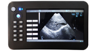 Instrument de diagnostic à ultrasons entièrement numérique de type B pour test de grossesse pour chien et chat - Product Image 4