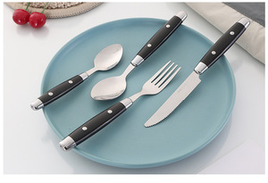 Juego de Cubiertos de Acero Inoxidable con Mango de Plástico PP, 24 Piezas, Vajilla <span class=keywords><strong>Personalizada</strong></span>, Cucharas, Tenedores, Cuchillos, Juego de Cubiertos Planos - Product Image 4