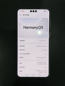 Mate60pro <span class=keywords><strong>12</strong></span>+512GB Verde <span class=keywords><strong>9</strong></span> Nuovo Schermo con Bordo Floreale Fine, Piccola Bocchetta, Durata Batteria 89%, Puro Originale, Nessuna Riparazione - Product Image 6