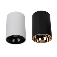 12W 15W 18W 20W 30W 40W 50W Anti-éblouissement Plafonnier rond encastré Cylindre LED Downlight COB Spot Lights Downlights
