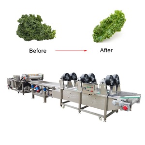 Laveuse de fruits industrielle commerciale, laveuse de légumes <span class=keywords><strong>à</strong></span> feuilles (chou frisé), sécheuse <span class=keywords><strong>à</strong></span> air <span class=keywords><strong>à</strong></span> bulles avec convoyeur - Product Image 1
