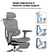 Chaise de bureau ergonomique moderne personnalisable en maille avec mécanisme Donati, soutien lombaire réglable, accoudoirs 6D en PU et base pivotante en acier