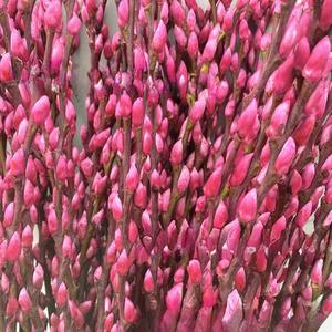 Цветные серебряные цветы - Product Image 3