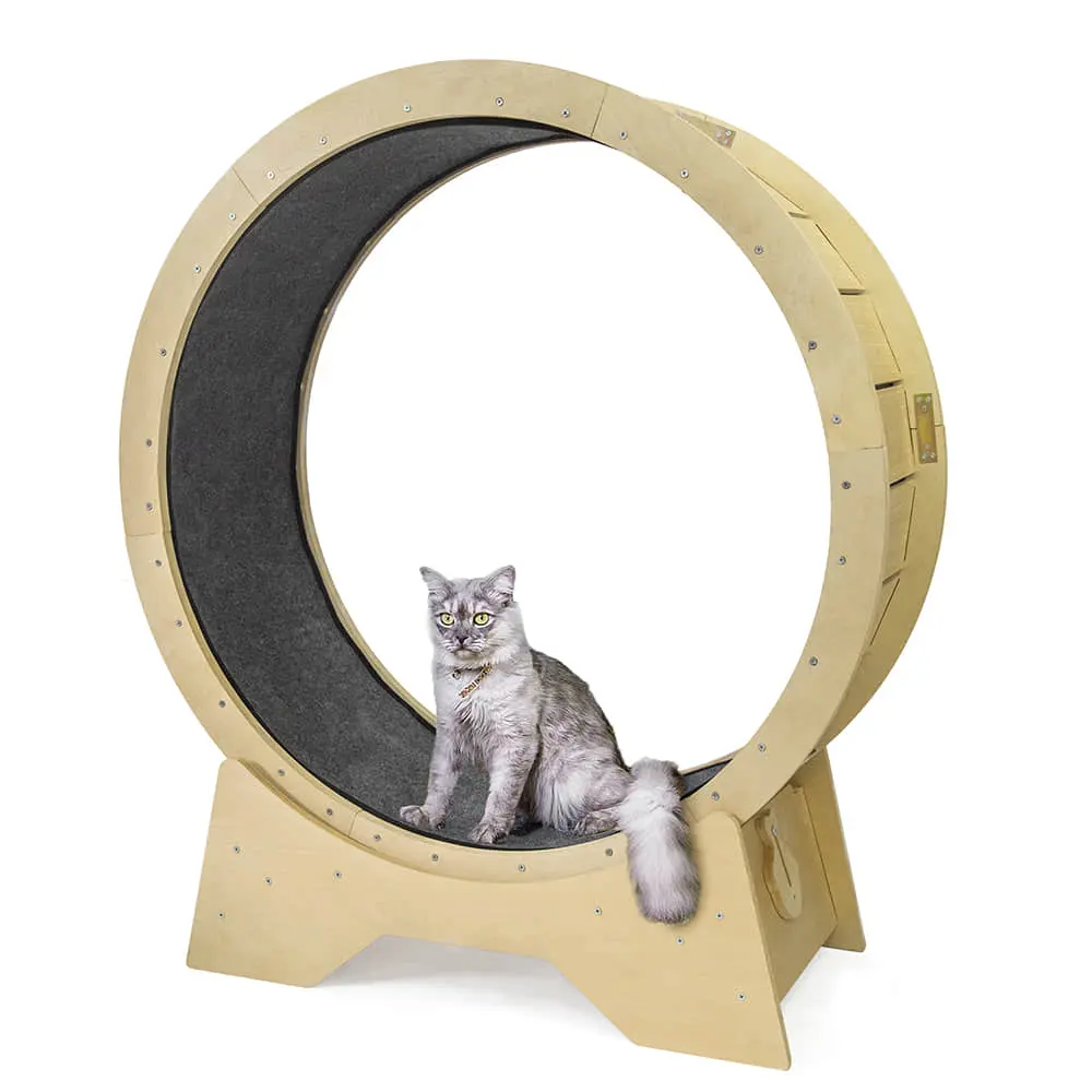 Venda quente Roda De Corrida Silencioso Doméstico Interativo Pet Tread Exercício Gato Escalada Quadro Cat Treadmill