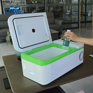 Nevera Portátil Pequeña para Viajeros, 12V CC, Mini Refrigerador para Auto, Estilo Deportivo, Congelador <span class=keywords><strong>con</strong></span> <span class=keywords><strong>Compresor</strong></span> para Exteriores - Product Image 5