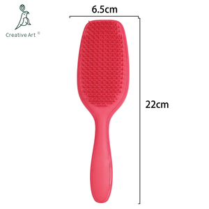 Vendita calda Logo personalizzato in Nylon cuscino in plastica districante spazzola per capelli per donna - Product Image 2