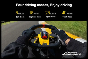 Original Segway Ninebot Eléctrico <span class=keywords><strong>Go</strong></span> <span class=keywords><strong>Kart</strong></span> Pro <span class=keywords><strong>Lamborghini</strong></span> <span class=keywords><strong>Go</strong></span> Karting Niños Adultos - Product Image 5