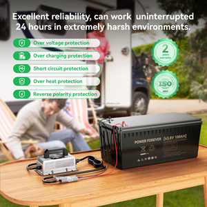 แบตเตอรี่ลิเธียม 600W คุณภาพสูง 12V 36V 24V 48V 60V สำหรับเครื่องตัดหญ้าแบบเข็น QA600A QA600 - Product Image 5