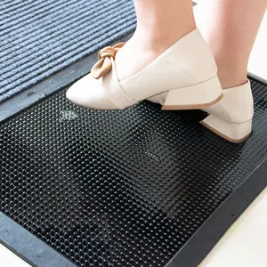 Sanitizing disinfection door Mat House Use Foot Shoes Cleaning floor Door Mat