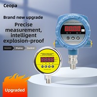 Digital High Precision Electronic Vacuum Intelligent Pressure Gauge Pump Negative Water Pressure Control China Measurement Range