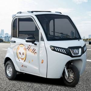 Cabine Passager Adulte Luxe Personnalisé Famille 3 Roues Voiture Électrique 60V Fermé EEC Tricycle Électrique - Product Image 3