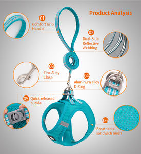 Set Harness dan Tali Anjing Kucing Truelove Wholesale, Mewah, Ringan, Berbahan Jaring Reflektif, Dapat Disesuaikan untuk Kucing dan Anjing Kecil hingga Sedang, untuk Berjalan - Product Image 2