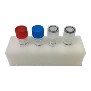 Nucleïnezuurdetectiekit voor rundergeleide ingrediënten, dierlijke ingrediënten, isotherme fluorescentie, 30 min, 48 tests/kit - Product Image 3