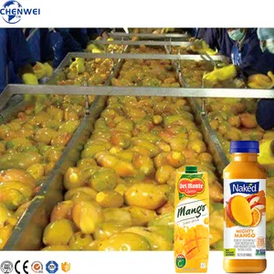 Mango Juice Production Line Mango Juice Processing Machine