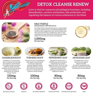 High Quality Private Label Chlorophyll Drop Drink Boost Immunity Detoxification Promotes <b>Liver</b> Health Function - Product Image 4