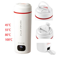Bouilloire électrique portable mini 500 ml, bouilloire à eau chauffante électrique à température contrôlée, bouilloire pour la maison et les voyages K003