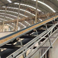 Sistema de Manejo de Materiales a Granel para Plantas Mineras, Cinta Transportadora Industrial de Alta Capacidad