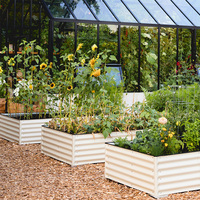 Bac à légumes surélevé en acier galvanisé avec doublure pour plantes, kit de plantation de légumes pour extérieur, durable, avec trous de drainage