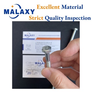 <span class=keywords><strong>Orecchini</strong></span> a punta MALAXY 1/4X3 testa esagonale 1/4X3 viti esagonali a testa esagonale <span class=keywords><strong>in</strong></span> legno esagonale - Product Image 4