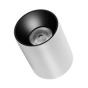 12W 15W 18W 20W 30W 40W 50W Chống Chói Vòng Trần Bề Mặt Gắn Xi Lanh LED Downlight COB <span class=keywords><strong>Spot</strong></span> Lights Downlights - Product Image 2