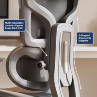 Chaise de bureau ergonomique en maille avec soutien lombaire réglable, siège pivotant avec appui-tête et accoudoirs