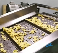 Industriële productielijn voor kleine en middelgrote bananenchips en plantainchipsnacks