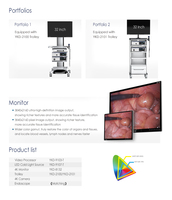 Caméra endoscopique YKD-9103T IKEDA pour stroboscope ORL