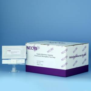EIAV-Antikörper-Teststreifen für fluor zierende Mikros phären (Infektions anämie bei Pferden) | Schnelle stabile Erkennung - Product Image 1
