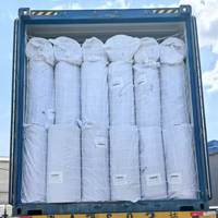 Jaring Fiberglass Tahan Alkali dan Tahan Lama EIFS 4mmx4mm 160g/m dalam Gulungan Jumbo untuk Sistem Finishing Insulasi Eksterior