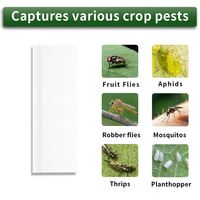 Pièges à mouches pour fenêtres, vente en gros, pièges à mouches collants transparents pour l'intérieur, pièges à mouches imperméables pour la maison, pièges à insectes