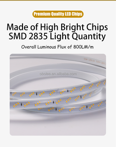 Bande LED Triple Rangée Haute Tension 220V, Étanche IP65, Sans Pilote, Ultra Lumineuse 276 LED/m pour Jardin et Bâtiment - Product Image 5