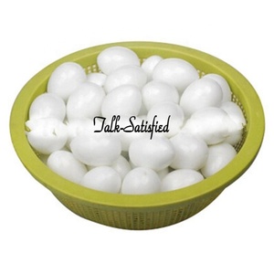 Uova di Piccione Finte in Plastica Solida per Stimolare la Deposizione delle Uova - Product Image 6