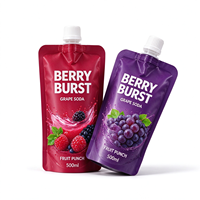 Pochette Doypack refermable anti-fuite avec bouchon à vis pour le stockage de sauces, de gelées, de smoothies et de boissons maison
