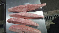Équipement de traitement du poisson, machine à peler le thon, prix CE