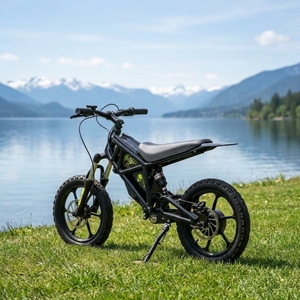 Moto électrique tout-terrain haute performance Yozma 10 Design, 1500W 48V, pour adultes, vitesse 35 km/h, longue autonomie, tout-terrain, <span class=keywords><strong>motocross</strong></span>. - Product Image 6