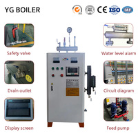 Chaudière à vapeur électrique à production rapide de vapeur, fabriquée en Chine par YG LDR, directement de l'usine, pour les usines textiles et papetières