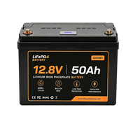 RV Marine Camper 12.8V 50Ah LiFePO4 Deep Cycle Batterij Bluetooth BMS 6000 Cycli Graad A 640Wh
