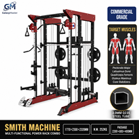 Machine Smith multifonctionnelle commerciale en métal pour entraînement de force avec fonction d'entraînement des triceps, garantie 3 ans, certifiée CE