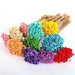 Mini Margherite Essiccate Brasiliane all'Ingrosso per Oggetti di Scena Fotografici, Decorazioni Nuziali e Creazioni in Resina - Fiori Selvatici Naturali - Product Image 4