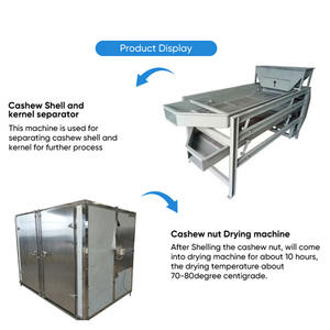 Línea de Procesamiento de Anacardos Tostados Totalmente Automática Gashili, 1 Año de Garantía, Separación de Cáscaras de Anacardos, Envasado al Vacío para Plantas de Procesamiento de Frutos Secos - Product Image 3
