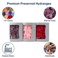 Hydrangeas Pagoda Préservées Premium à Feuilles Moyennes, Fleurs Éternelles, Hydrangeas Véritables pour Décoration de Mariage, Matériel DIY, Cadeau, Vente en Gros