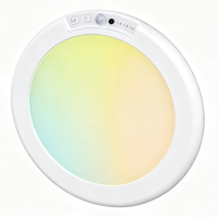 Lampes de plafond à détecteur de mouvement magnétique RGB rechargeables avec télécommande sans fil, lumière de placard à intensité variable, fonctionnant sur piles