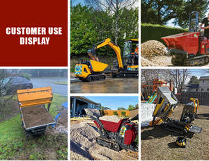 <span class=keywords><strong>Brouette</strong></span> Mini Dumper avec Briggs stratton Mini Site Dumper Mini transporteur Track Carrier avec basculement hydraulique - Product Image 3