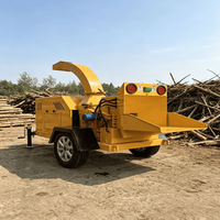 Broyeur de bois diesel professionnel 2TPH avec démarrage par lanceur pour les zones éloignées