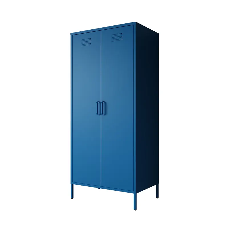 Storage Cabinet With Doors High Quality Modern Design Metal Locker Cabinet With 2 Swing Doors Bedroom Furniture Clothes Storage Waterproof Cupboard